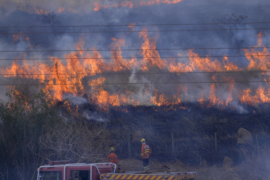 Município de Cajazeiras investigará incêndio na Serra do Cruzeiro Município de Cajazeiras investigará incêndio na Serra do Cruzeiro