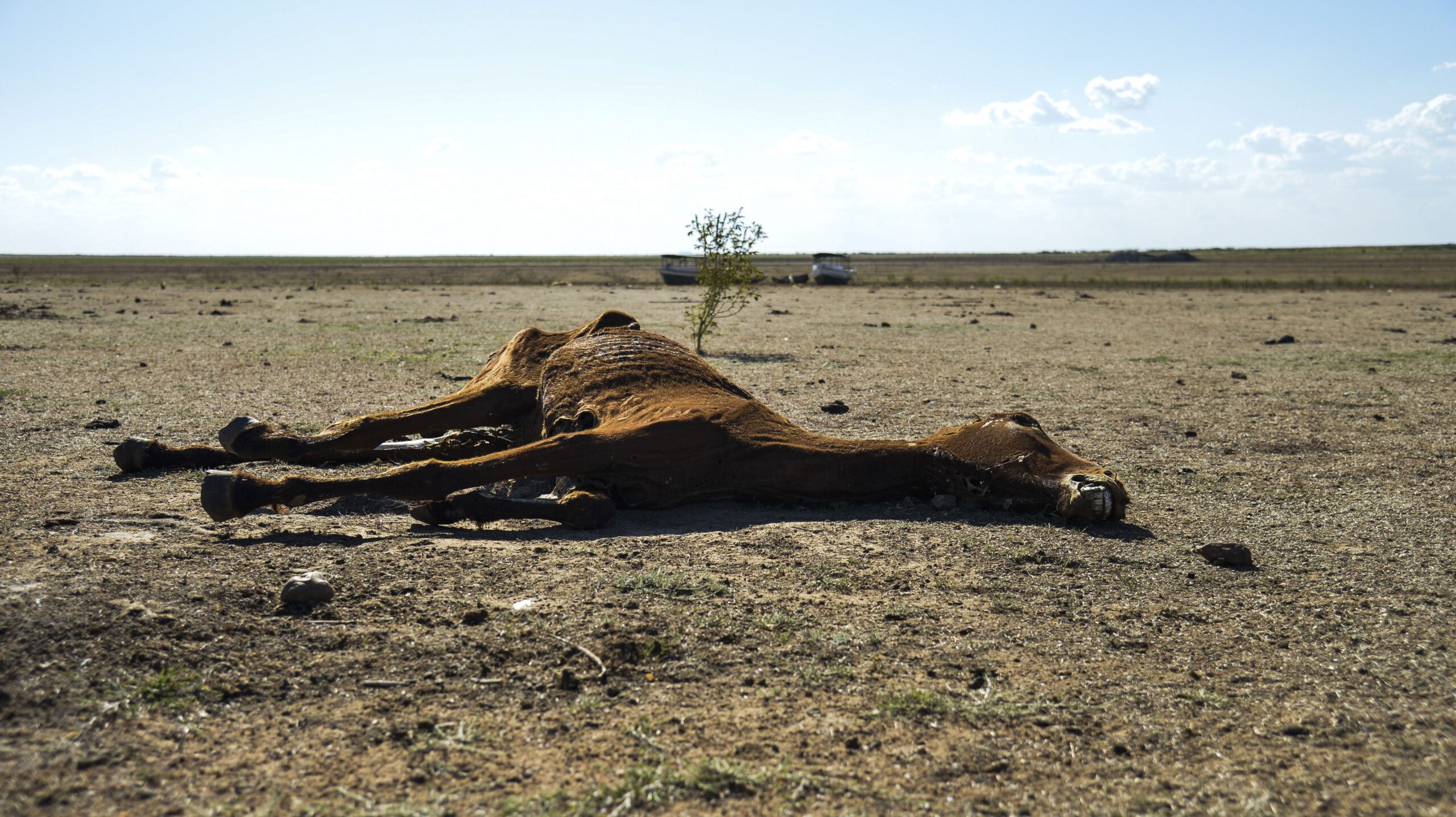 A MAIOR OBRA HÍDRICA DO BRASIL: O PROJETO DE INTEGRAÇÃO DO RIO SÃO FRANCISCO TRANSFORMANDO O NORDESTE E CAJAZEIRAS