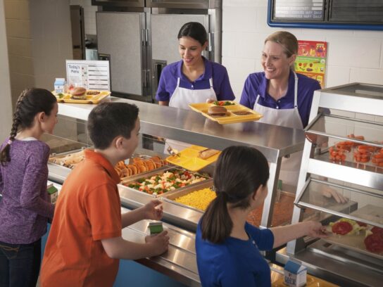 Nutrir+PB: Governo do Estado lança programa de segurança alimentar com distribuição de ovos caipiras